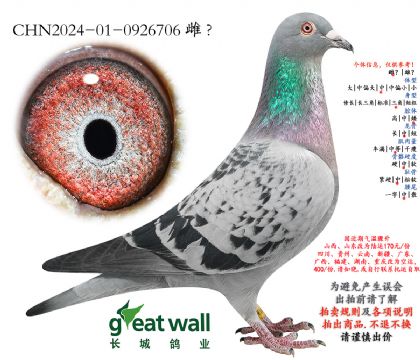 8.��ʱ��x��ѻ��ض�.0926706