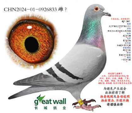 9.���հ���Ӵ�.0926833