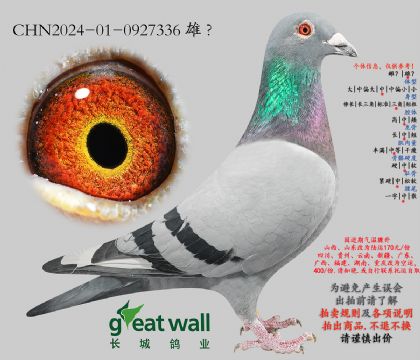 10.����Ѫϵ.0927336