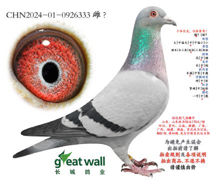 13.�����Ĺظ���42�Ӵ�.0926333