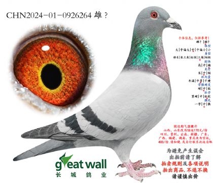 11.�����˹���.0926264