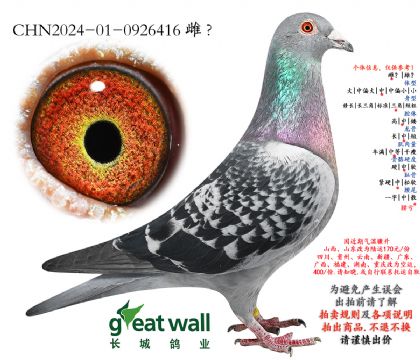 15.��ȱ��xͼ��˹.0926416