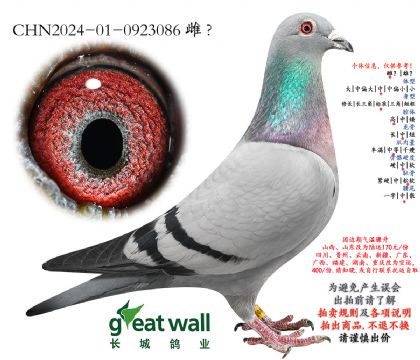 14.³�Ͻ�Ѫ���.0923086