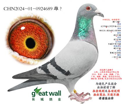 17.���⹫�����6���Ӵ�.0924689