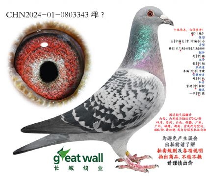 16.��ʱ��911���.0803343