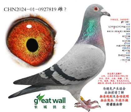 20.ղ��˹801���.0927819