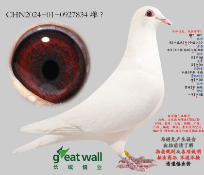 21.��ѻ��ض���Ѫ.0927834