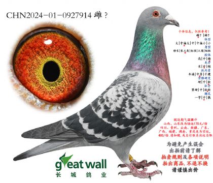 22.ͼ��˹˧�����.0927914