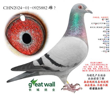 24.ͼ��˹003���.0925882