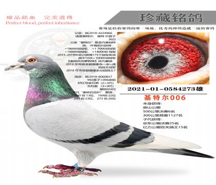 ���ض�����27