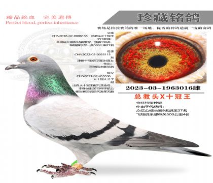 �ܽ�ͷ���������ָ��016