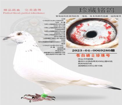 ����԰������280