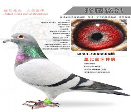 �ǱȽ��ָ�66666