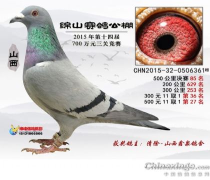 ��ѫ�ָ����361��������85��