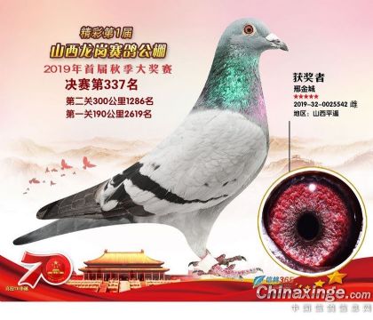 ����ŷԪ��ѫ�ָ�542