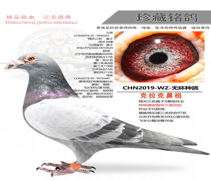 �����˱����޻����ָ�