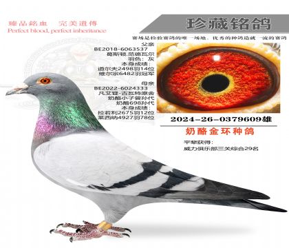 ������609