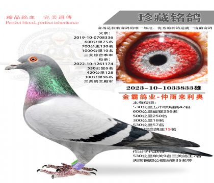 ��Ը�ҵ�����ۺϸ���15��