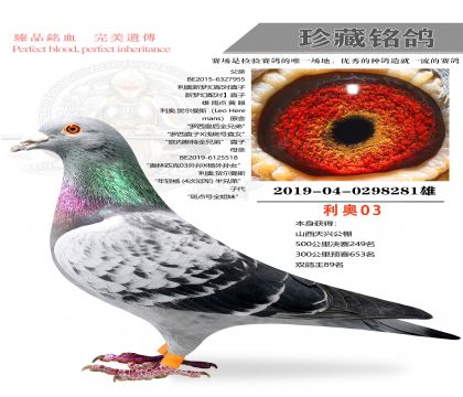 ���¹�ѫ�ָ�281��������