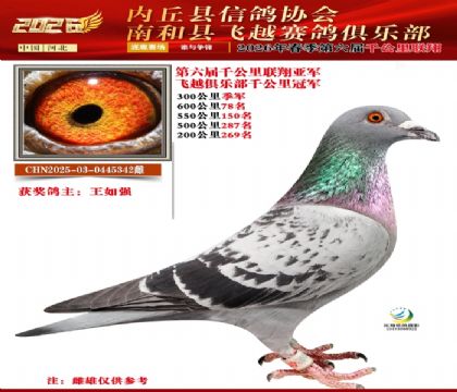 ����ǧ�����Ǿ�