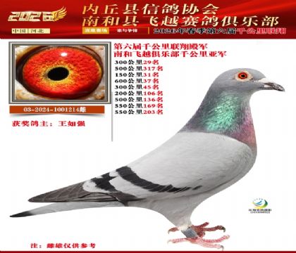 ����ǧ������