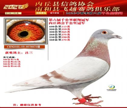 ����ǧ����ھ�