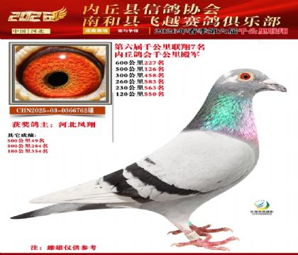 ����ǧ����7��