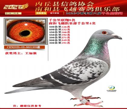 ����ǧ����8��