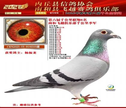 ����ǧ����6��