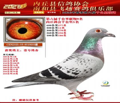 ����ǧ����9��