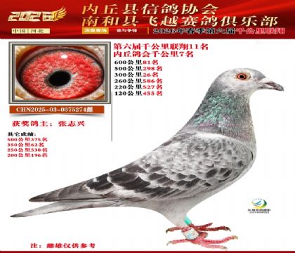 ����ǧ����11��