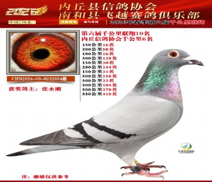 ����ǧ����10��