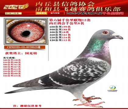 ����ǧ����12��