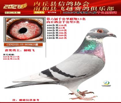 ����ǧ����13��