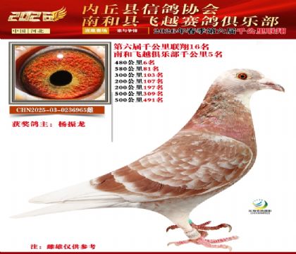 ����ǧ����16��