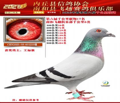 ����ǧ����17��