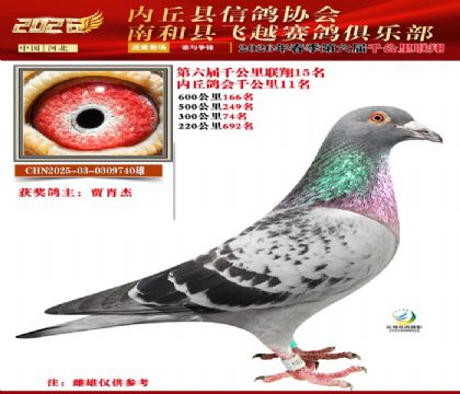 ����ǧ����15��