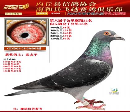 ����ǧ����22��