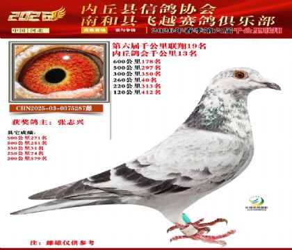 ����ǧ����19��