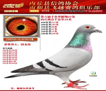 ����ǧ����23��