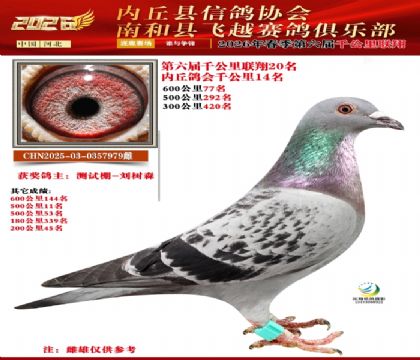 ����ǧ����20��