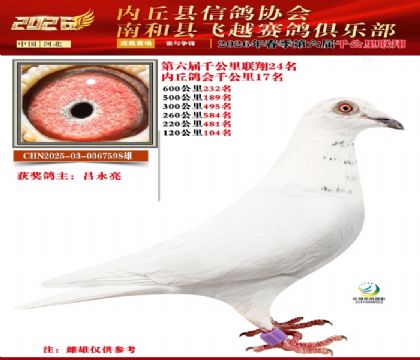 ����ǧ����24��