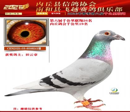 ����ǧ����26��