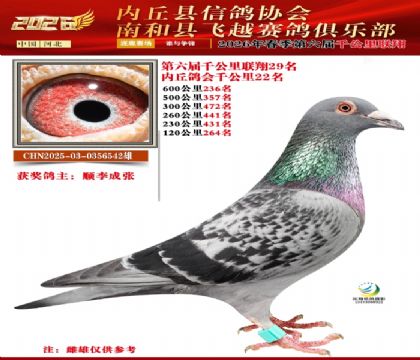 ����ǧ����29��