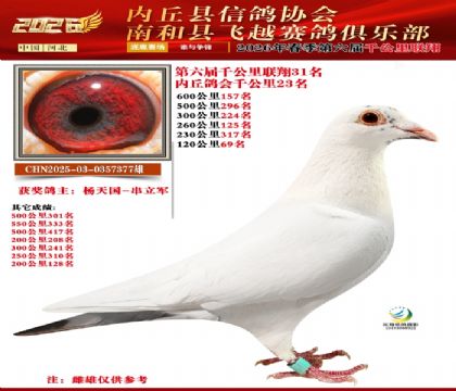 ����ǧ����31��