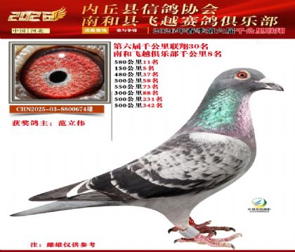 ����ǧ����30��