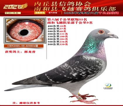 ����ǧ����33��