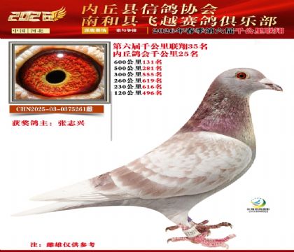 ����ǧ����35��