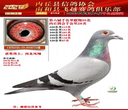 ����ǧ����36��