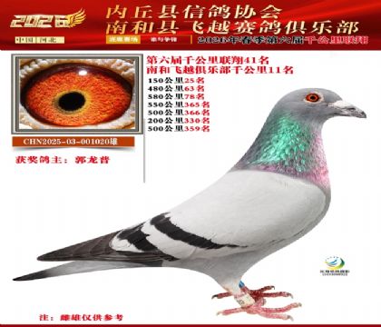 ����ǧ����41��